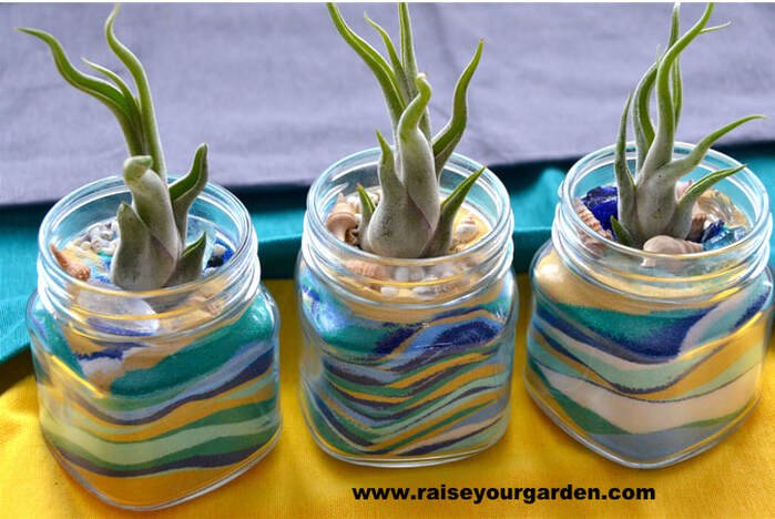 Unleashing Creativity: The Art of Seashell Terrarium Design
